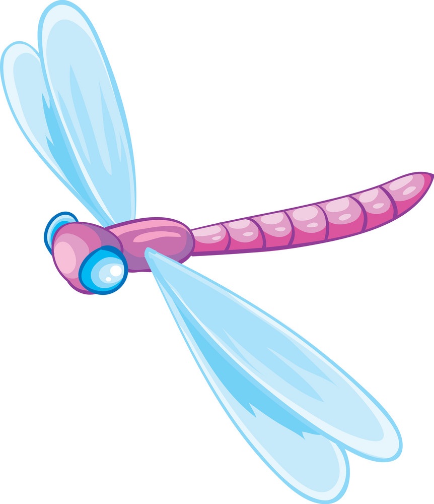 cute pink dragonfly