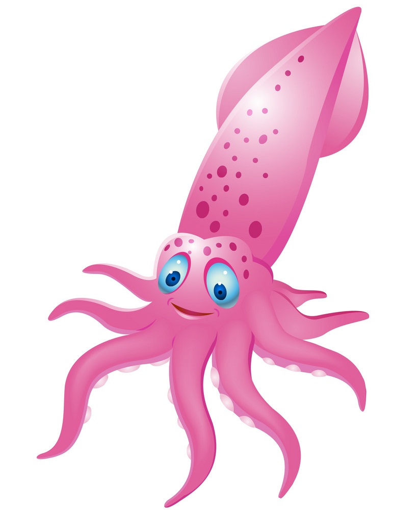 cute pink squid