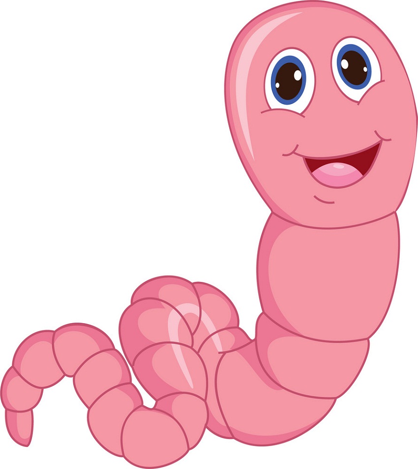 cute pink worm smiling