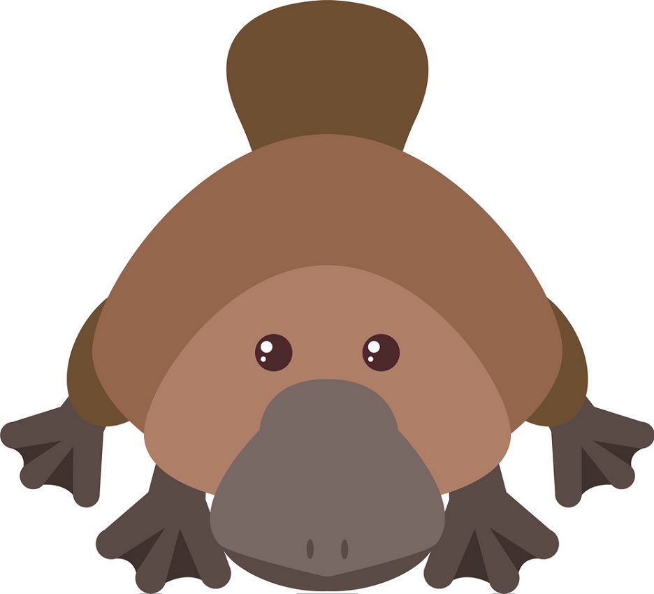 cute platypus with lovely eyes