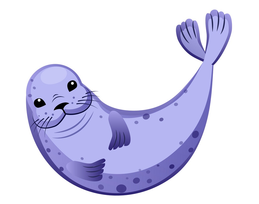 cute purple seal