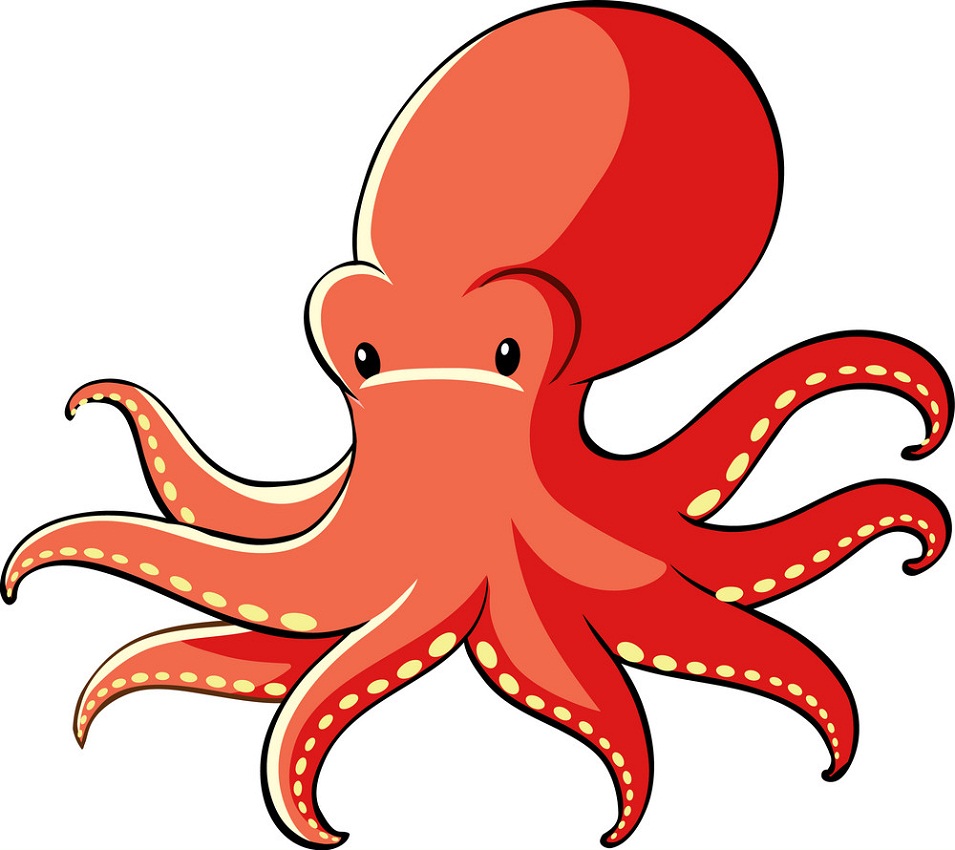 cute red octopus