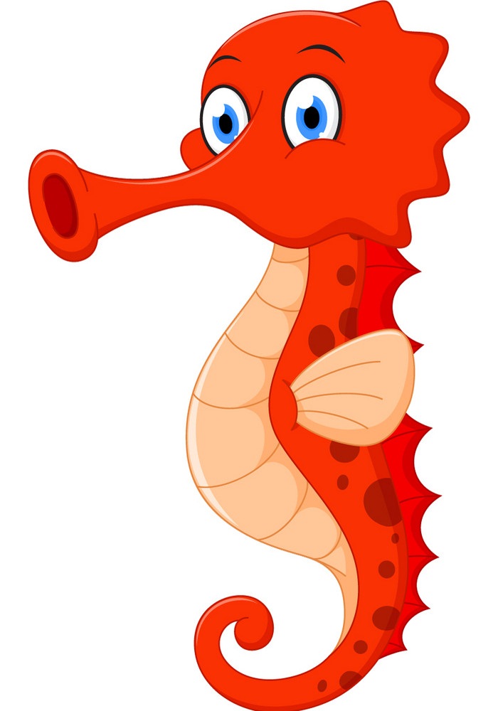 cute red seahorse