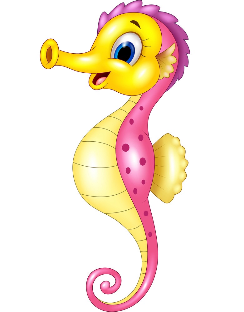 cute seahorse