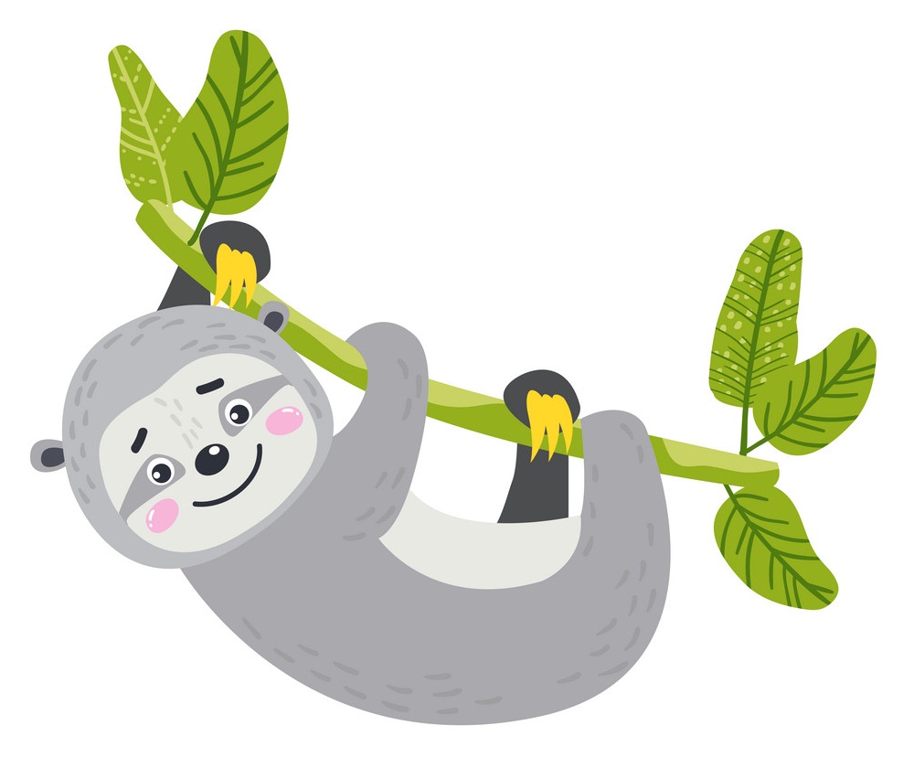 cute sloth hanging on vines