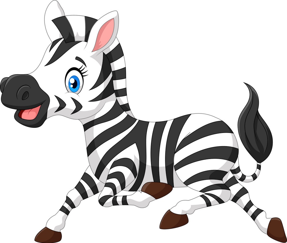 cute zebra running