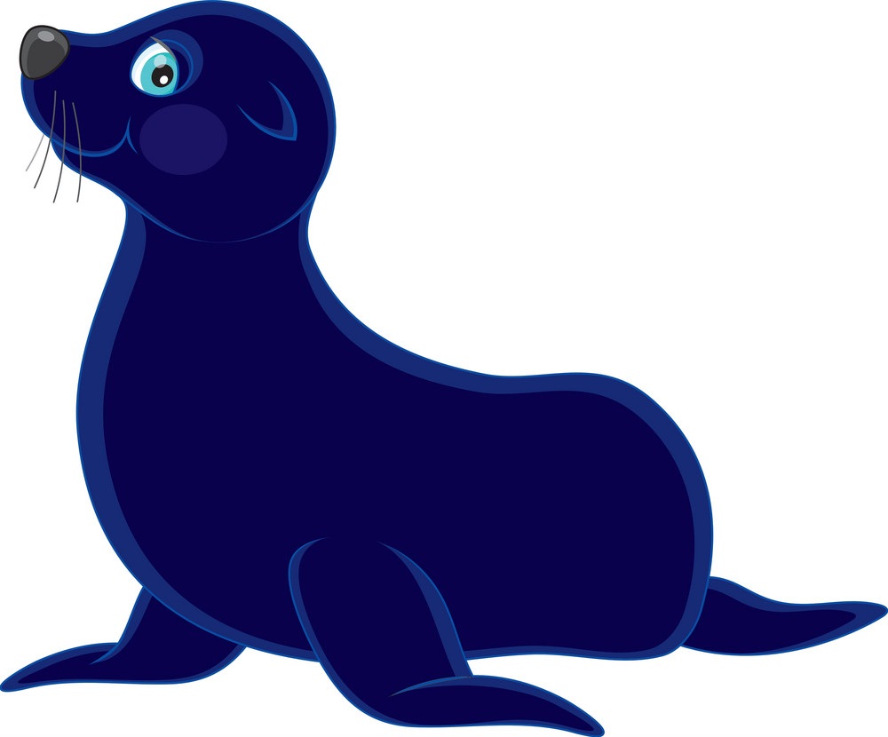 dark skin seal