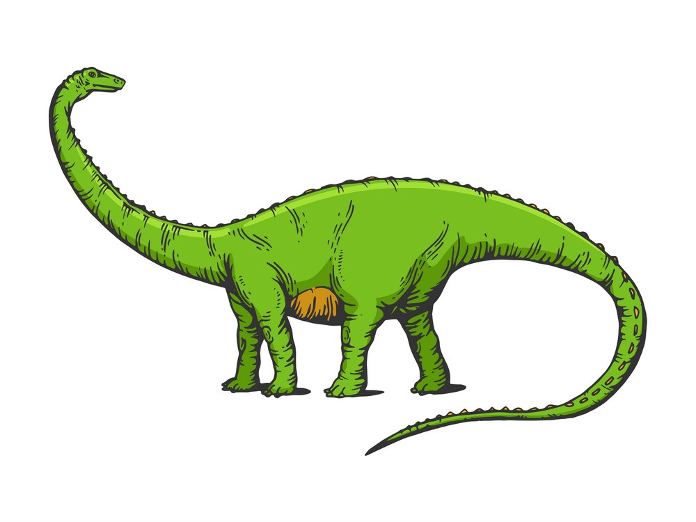 diplodocus dinosaur 1