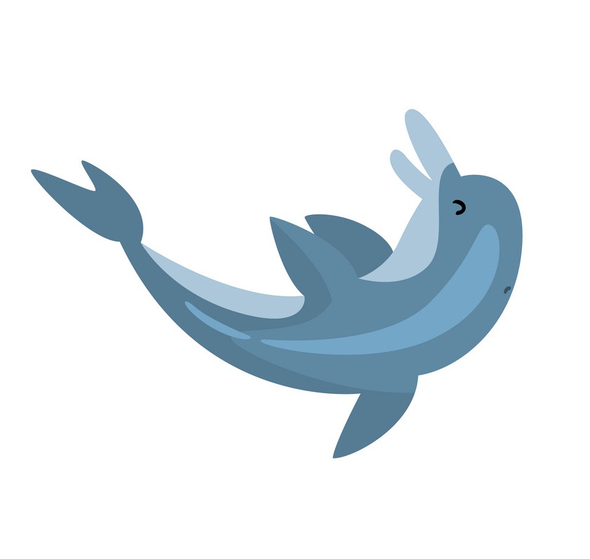 dolphin swims backwards