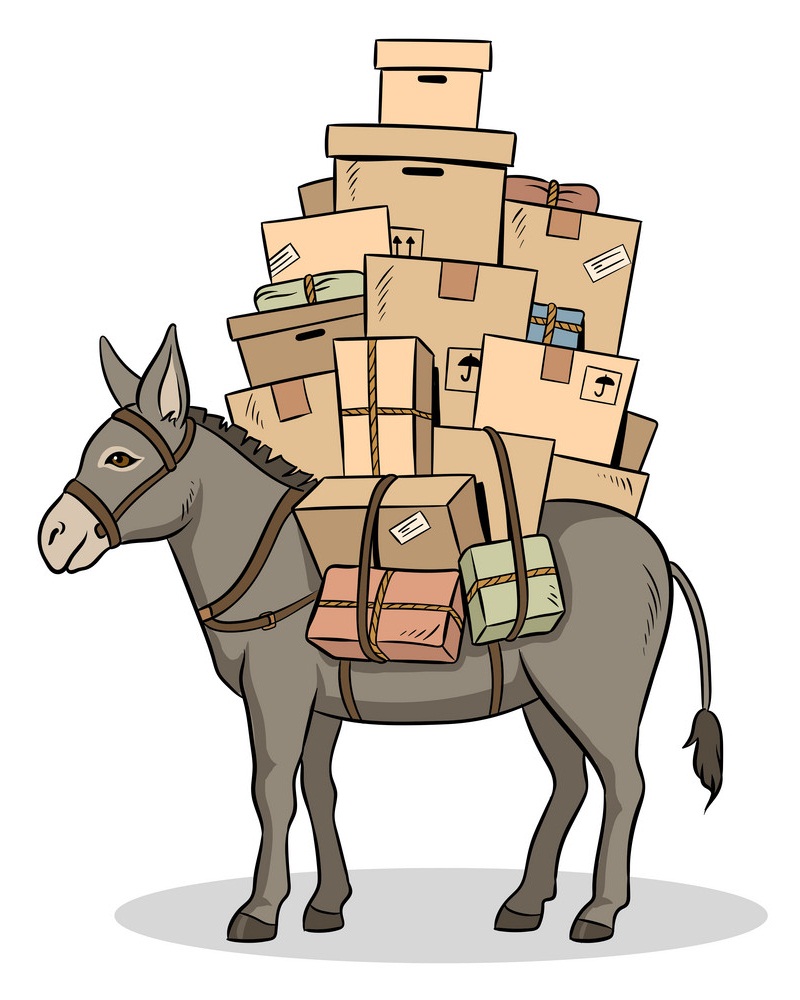 donkey loaded parcels