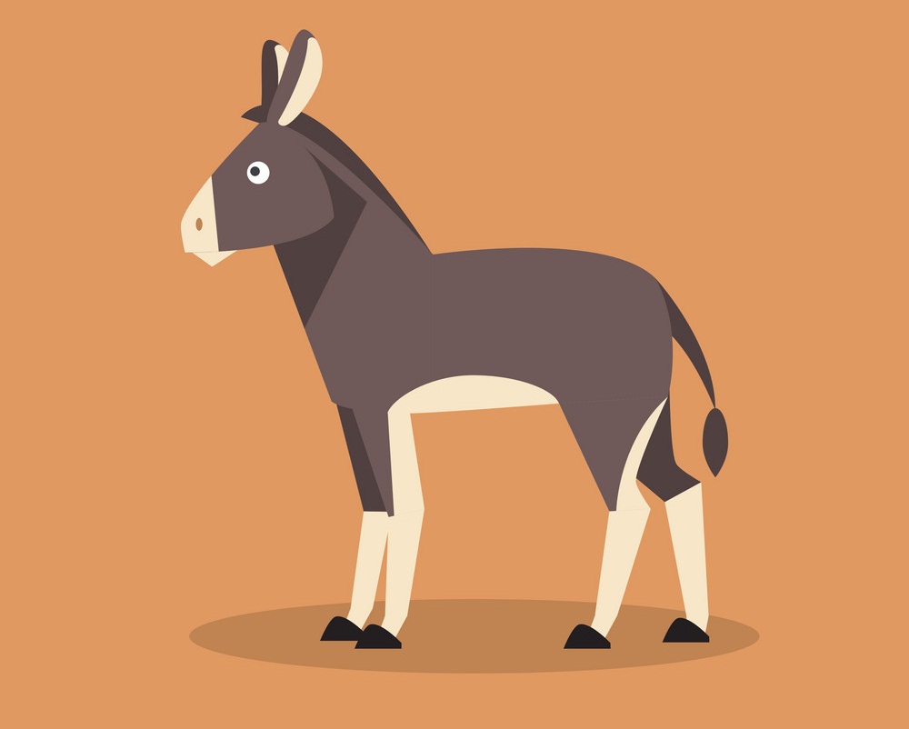 donkey on orange background
