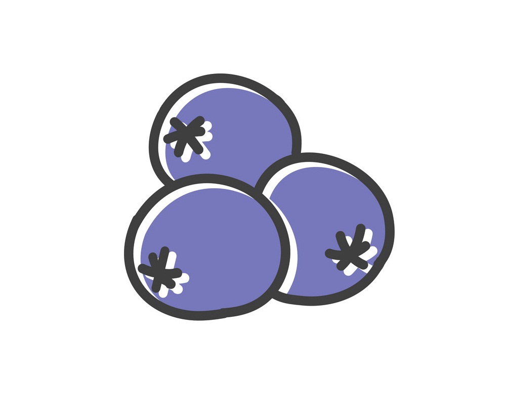 doodle blueberry icon