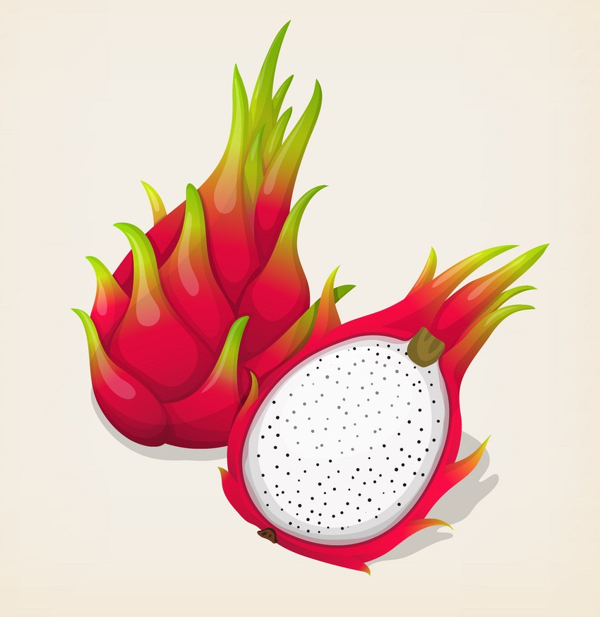 dragon fruit 3