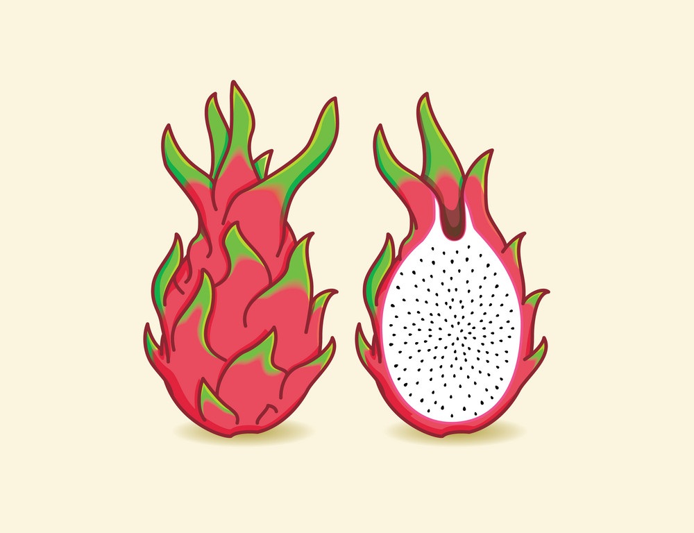 dragon fruit 4