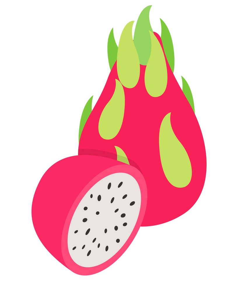 dragon fruit icon isometric 3d style