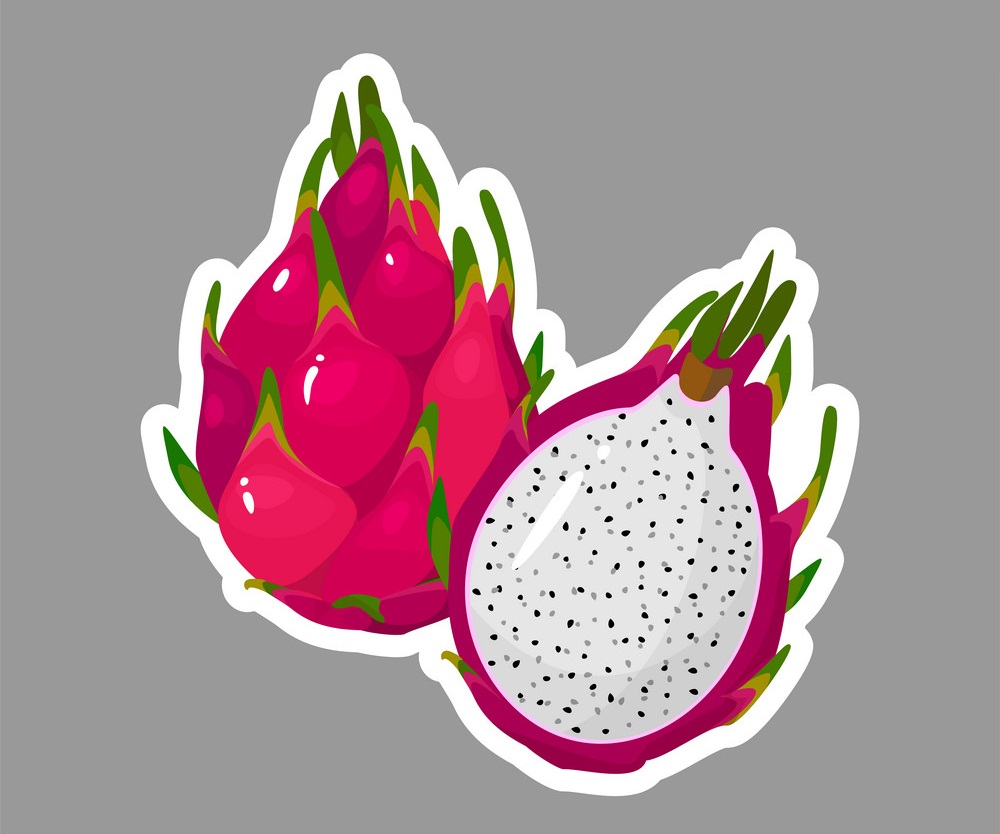 dragon fruit sticker on gray background