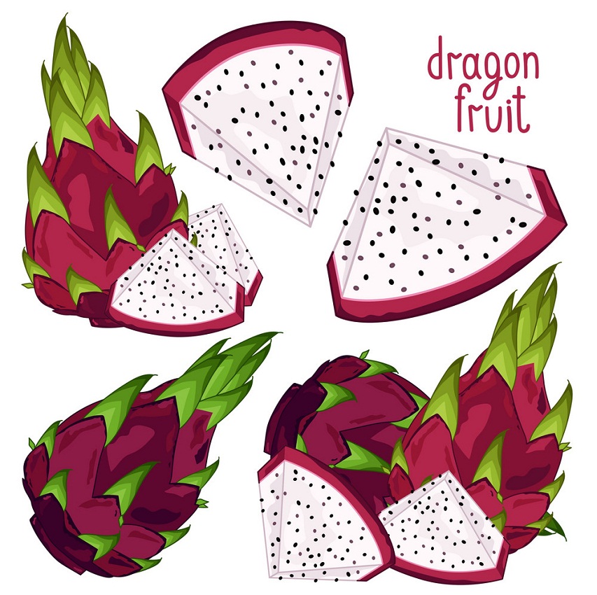 dragon fruits and slices