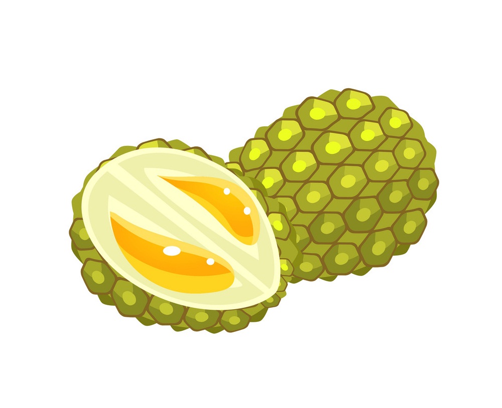 durian flat sticker