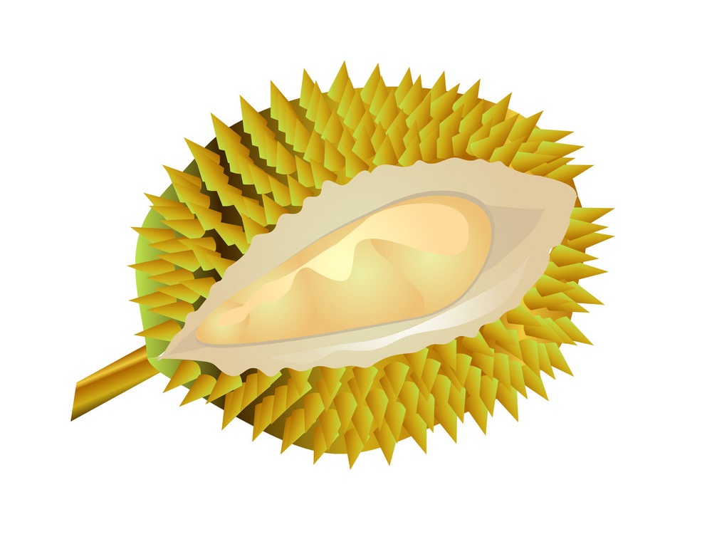 durian fruit 1