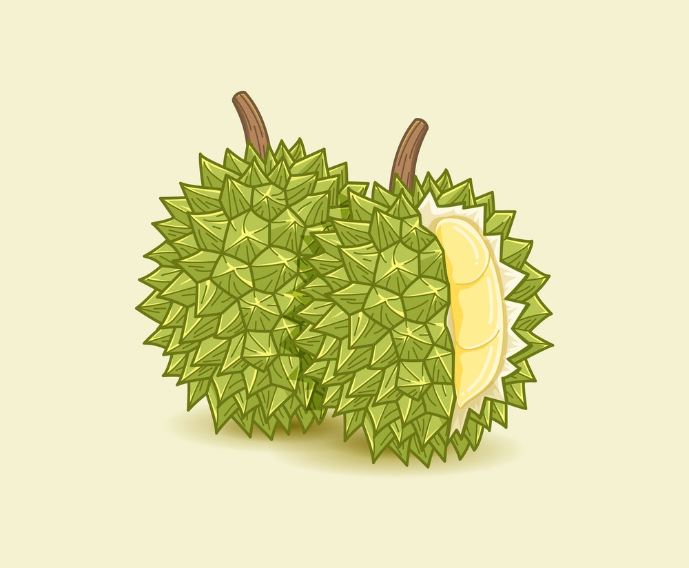 durian fruit on yellow background