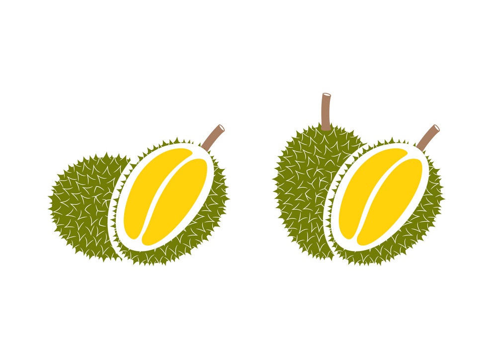 durian icons