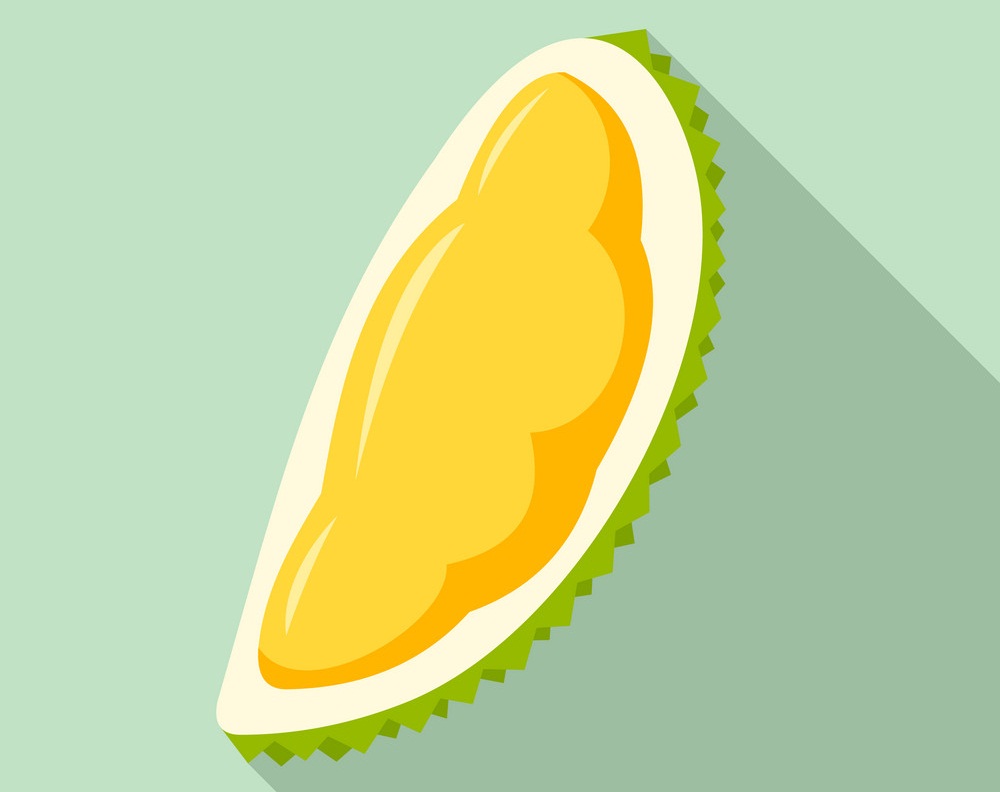 durian piece icon