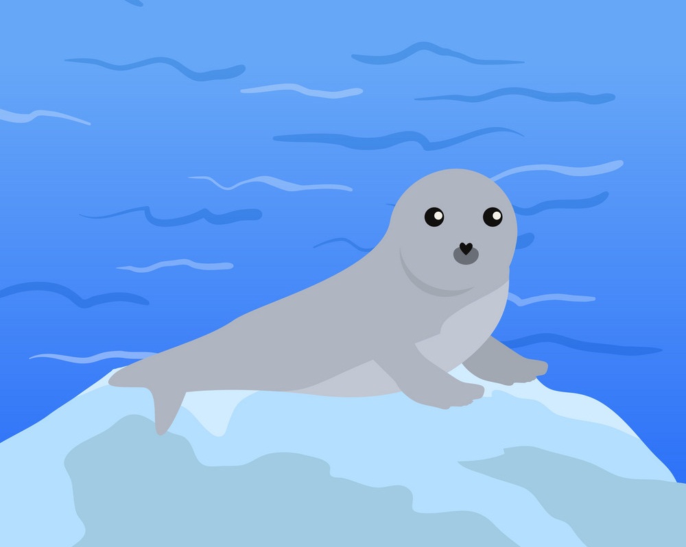 earless seal in flat design