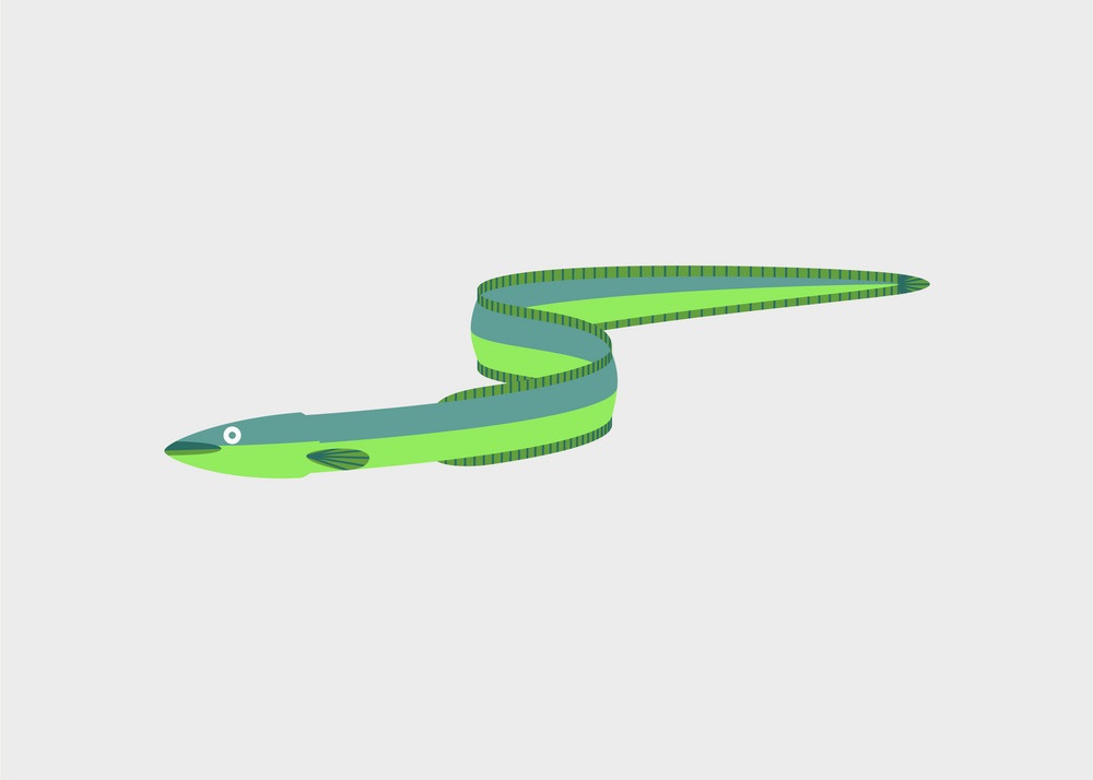 eel flat design