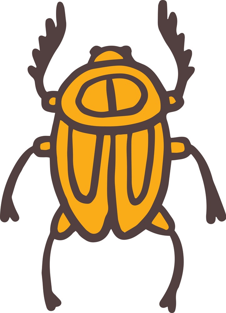 egypt scarab beetle