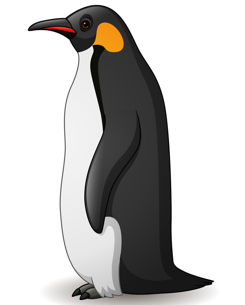 emperor penguin 1