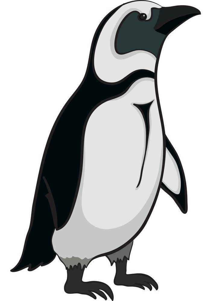 emperor penguin 2