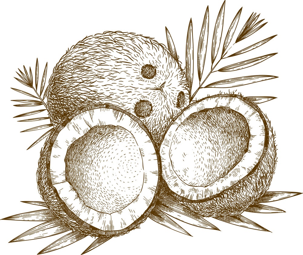 engraving coconuts
