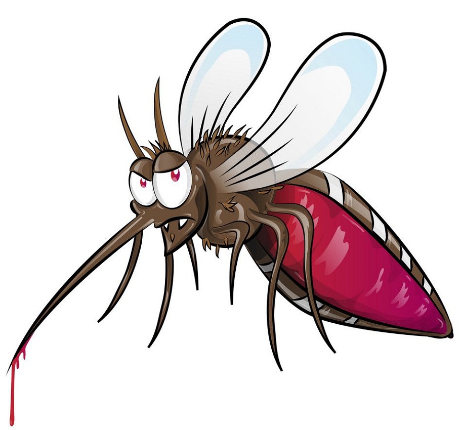 evil cartoon mosquito
