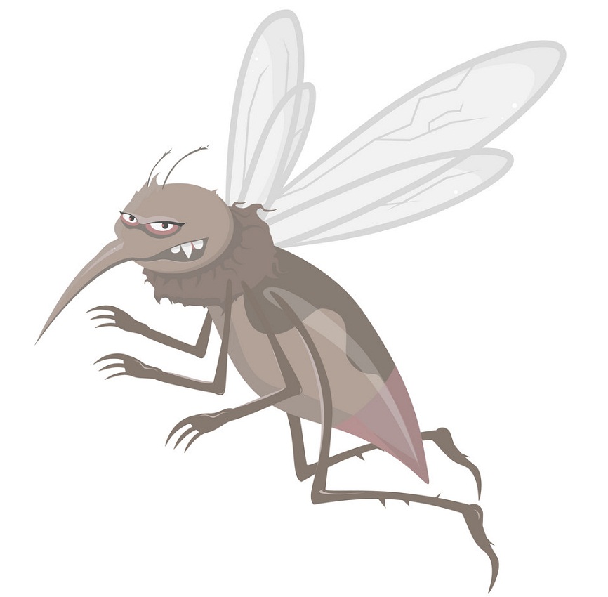 evil gray mosquito