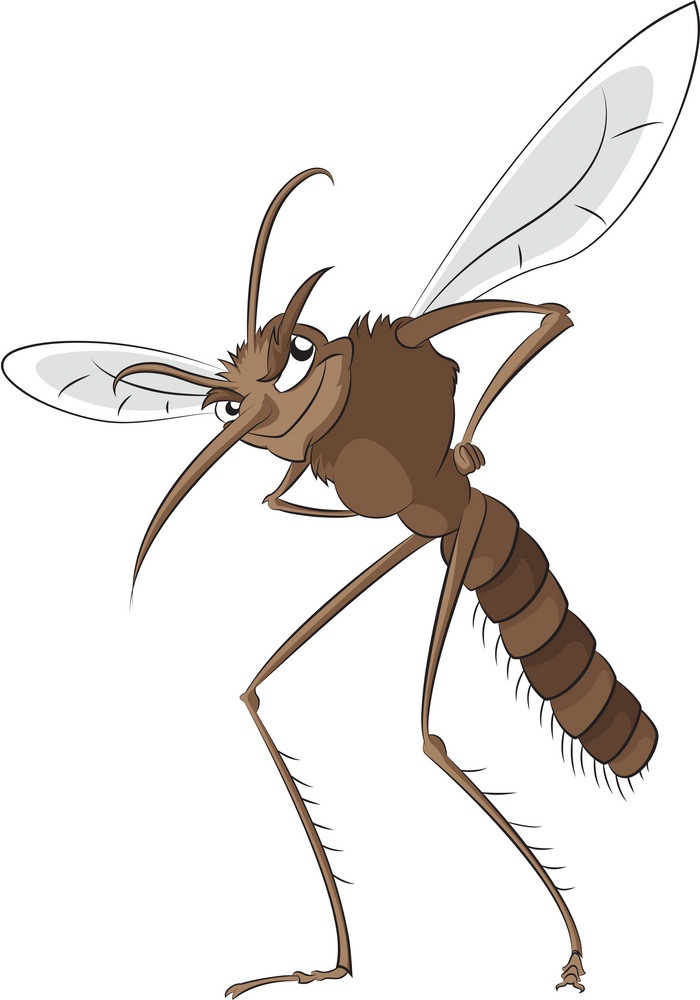 evil mosquito