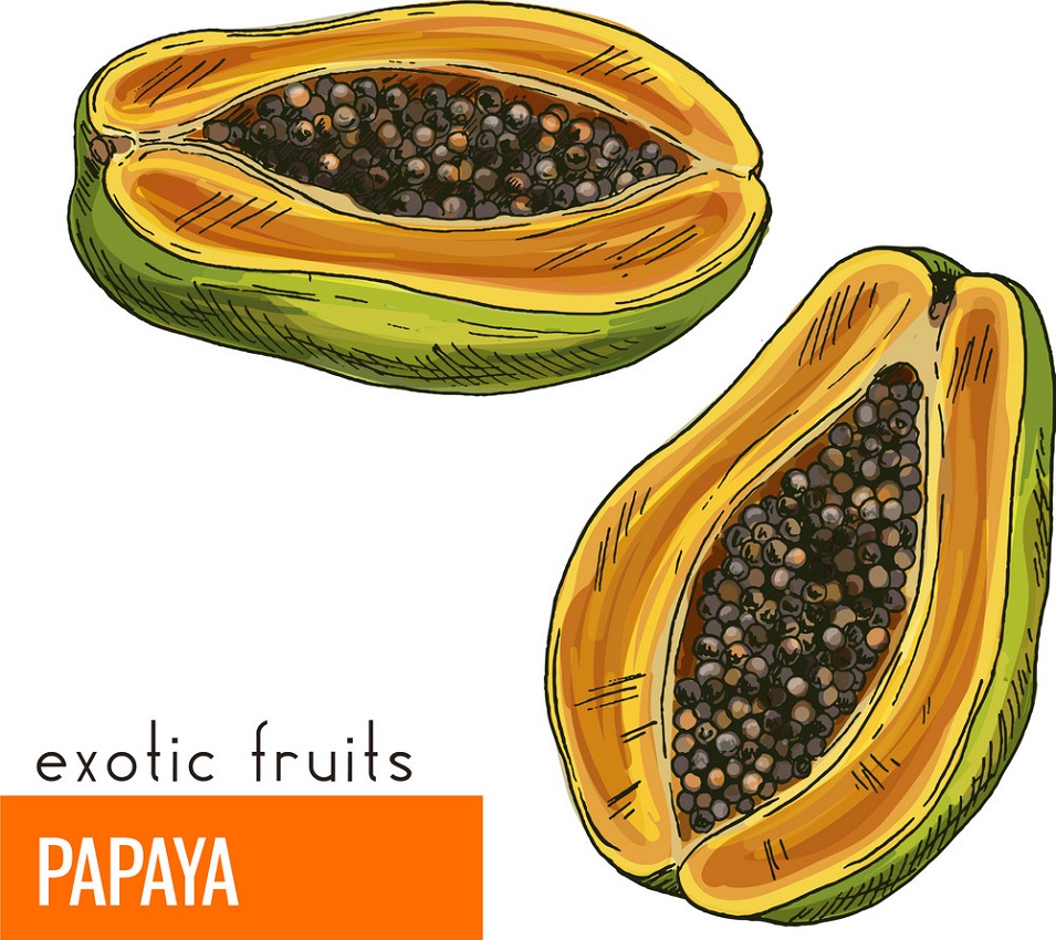 exotic fruits papaya