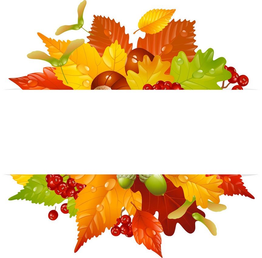 fall leaves frame