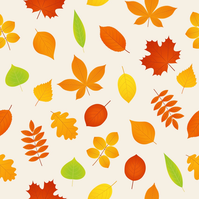 fall seamless pattern