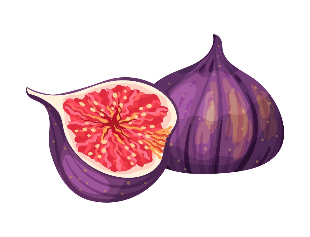 fig fruit and a half