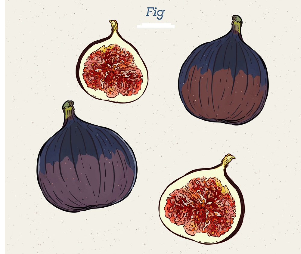 figs and slices