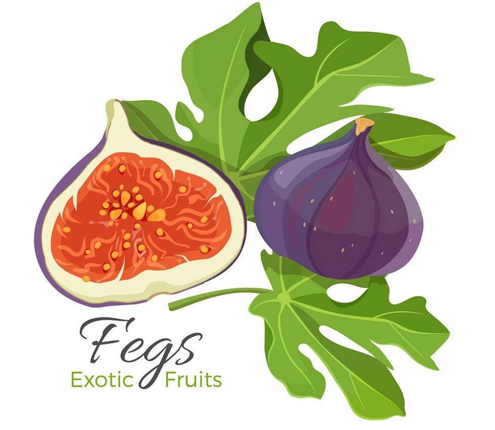 figs exotic fruits 1