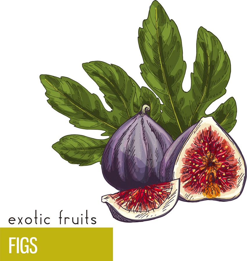 figs exotic fruits