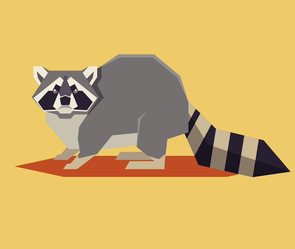 flat geometric raccoon