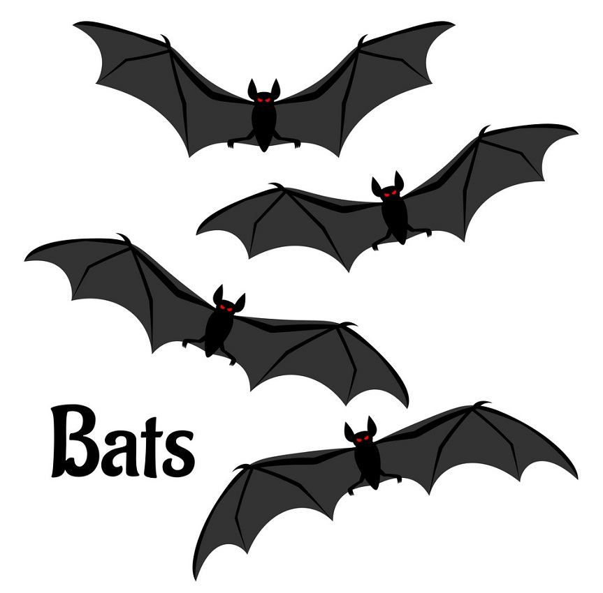 four bats