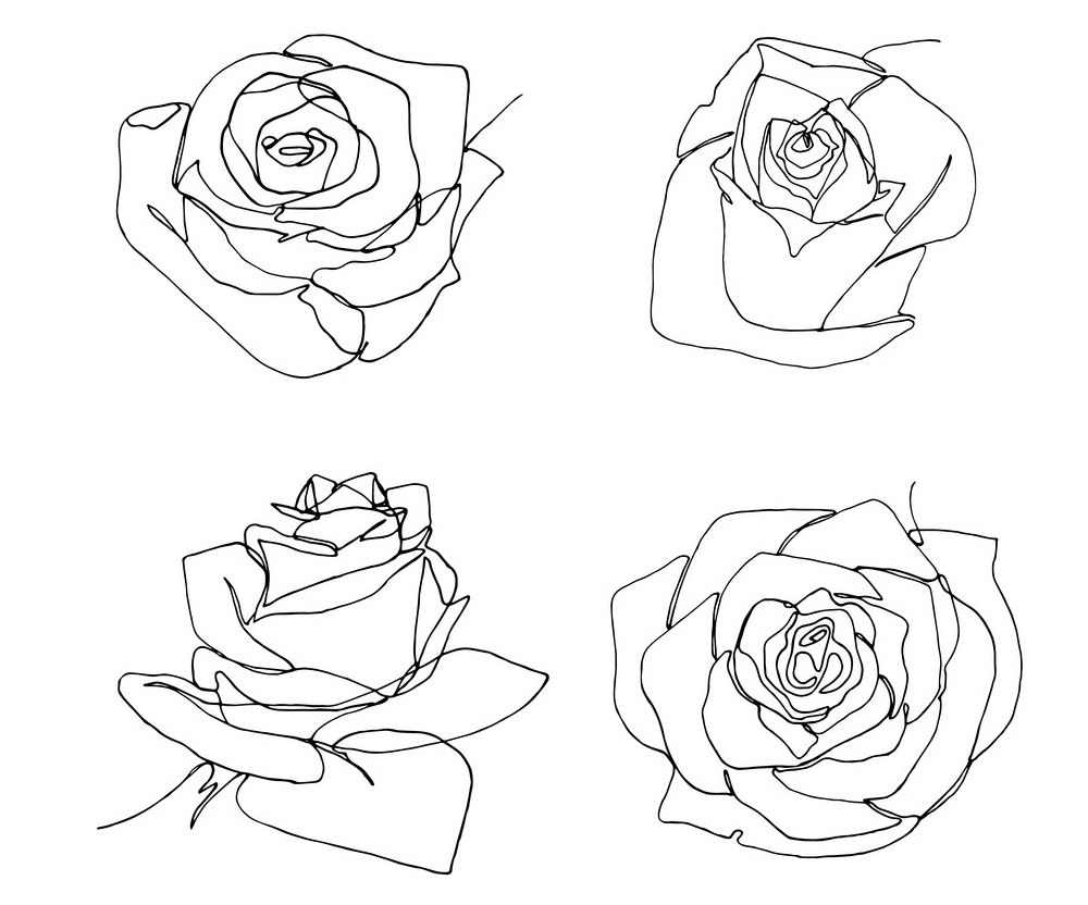 four roses outline