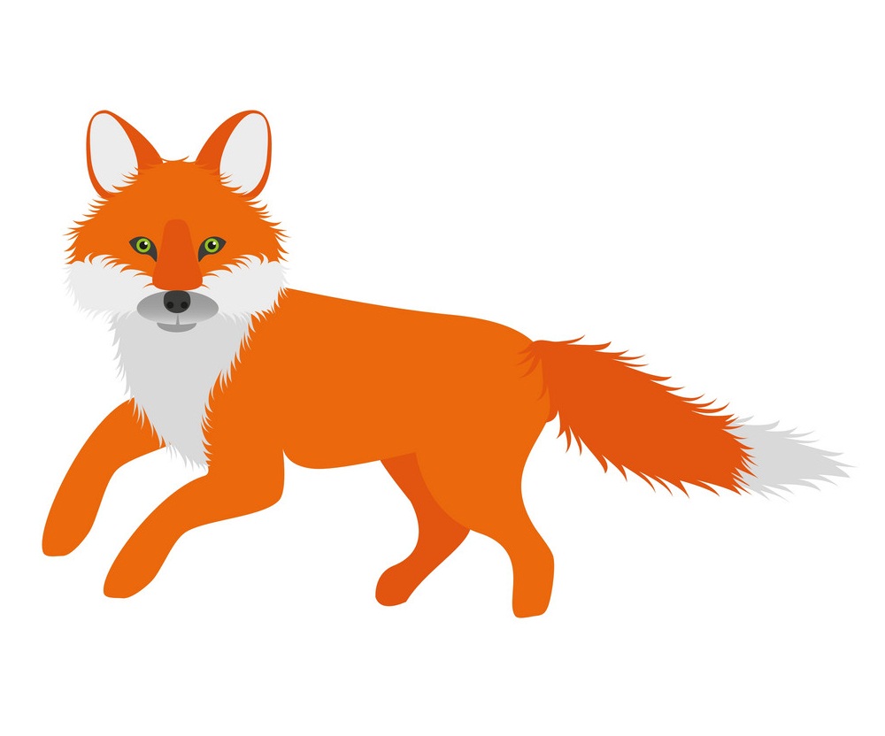 fox