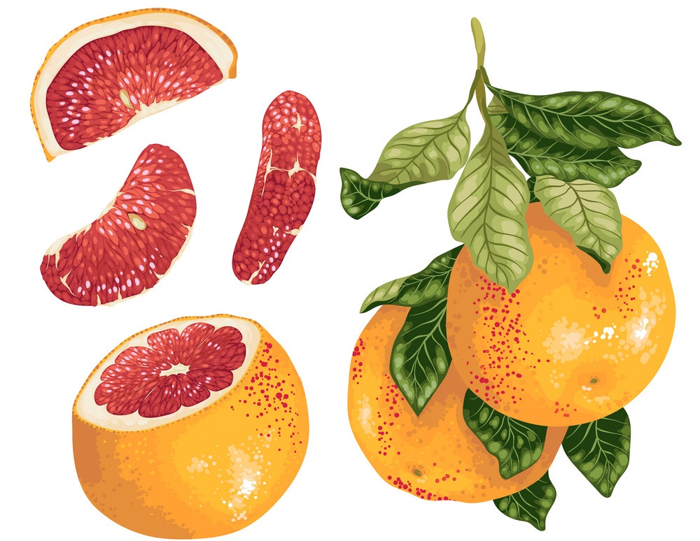 fresh and healthy grapefruits