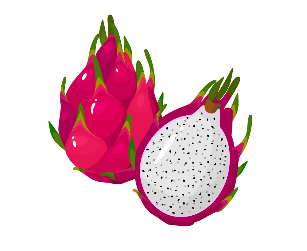 fresh dragon fruit