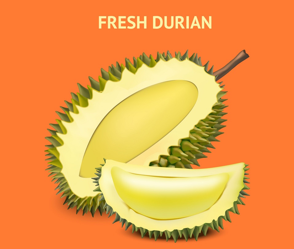 fresh durian on orange background
