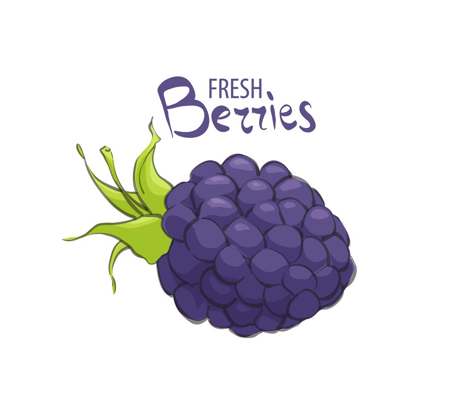 fresh ripe blackberry